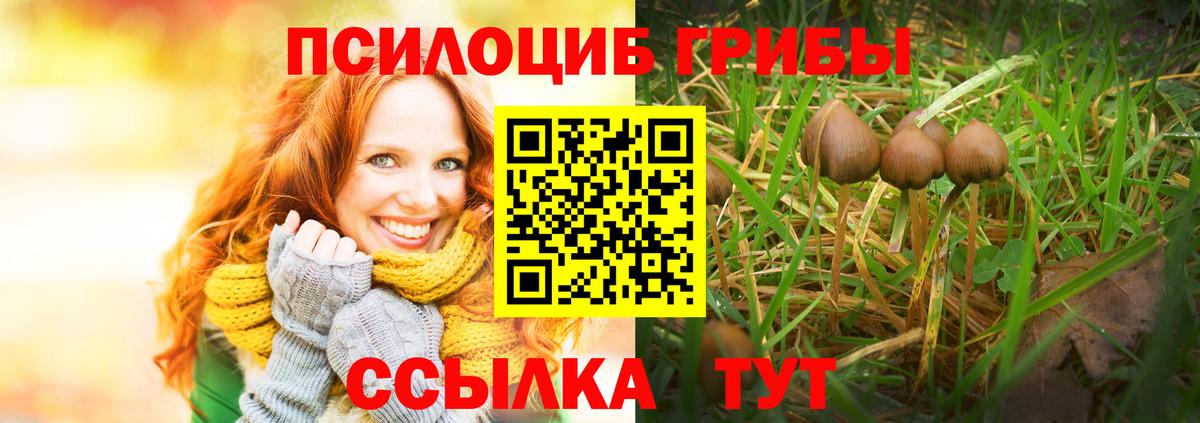 Псилоцибиновые грибы Magic Shrooms Ачхой-Мартан