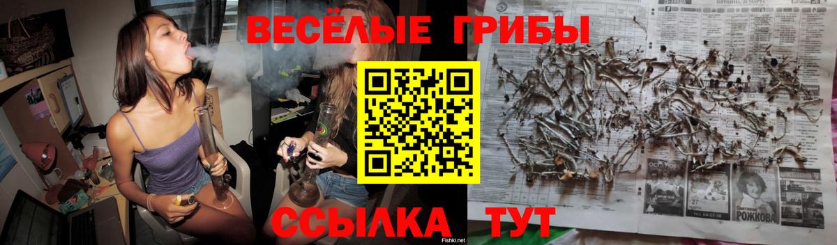 Канабис Ачхой-Мартан